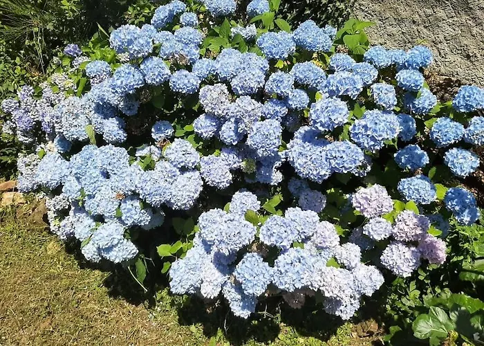 別荘 La Petite Maison *