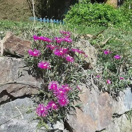 Ferienhaus La Petite Maison Soulan (Hautes-Pyrenees)