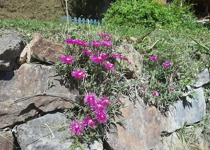 Feriehus La Petite Maison Soulan (Hautes-Pyrenees)
